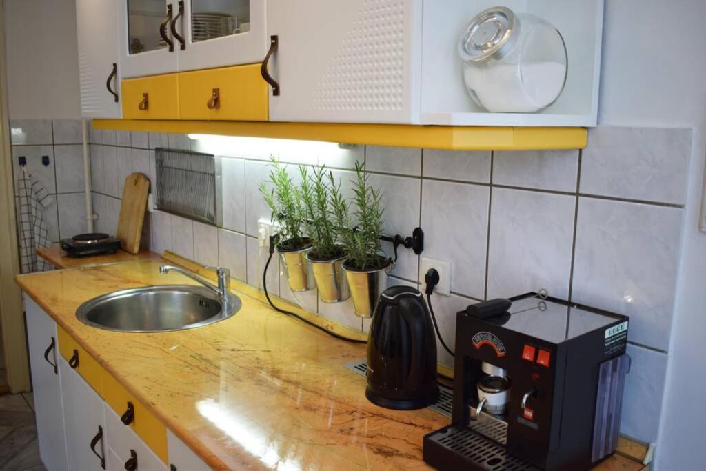 Cosy Apartment Just Next To Parliament Budapeşte Dış mekan fotoğraf
